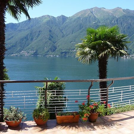 Casa Roccia Apartment Pino Lago Maggiore Exterior foto