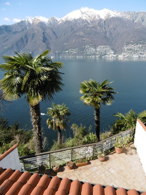 Casa Roccia Apartment Pino Lago Maggiore Exterior foto
