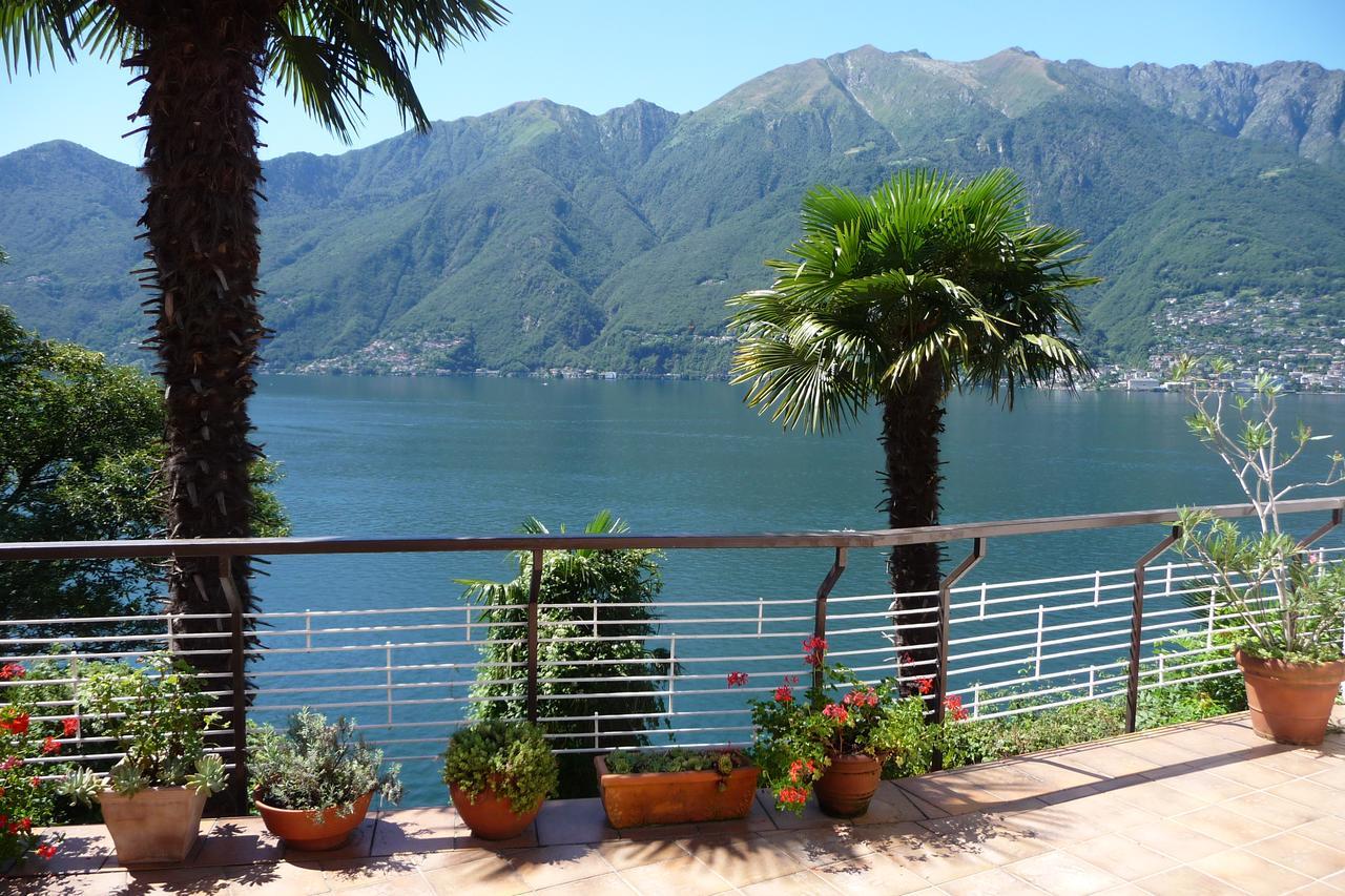 Casa Roccia Apartment Pino Lago Maggiore Exterior foto